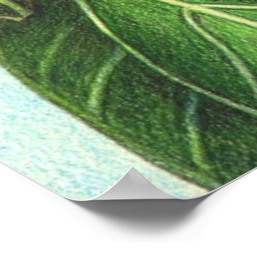 Poster Opus et monstre (Coin)