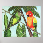 Poster Opus et monstre (Devant)