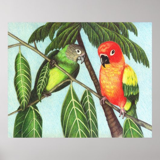 Poster Opus et monstre (Devant)