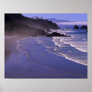 Poster OR, côte de l'Oregon, Ecola SP, Indian Beach avec
