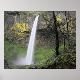 Poster OR, Gorge de la Columbia River, Elowah Falls, McCo