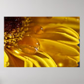 Poster Or liquide (Devant)