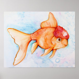 Poster Oranda Goldfish