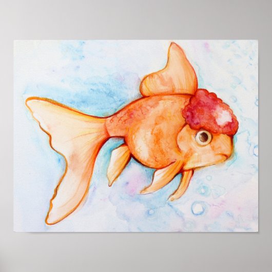 Poster Oranda Goldfish (Devant)