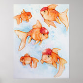 Poster Oranda Goldfish (Devant)