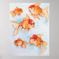 Oranda Goldfish