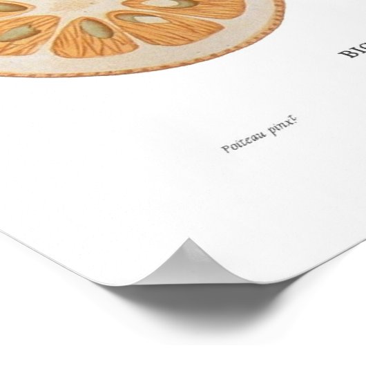 Poster Orange (Coin)