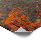 Poster Orange (Coin)