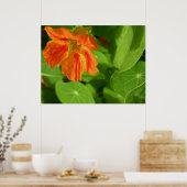 Poster orange (Cuisine)