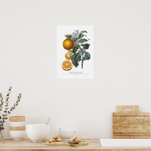 Poster Orange (Cuisine)