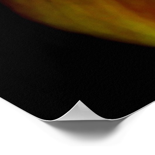 Poster Orange Bloom (Coin)