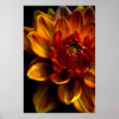 Poster Orange Bloom (Devant)