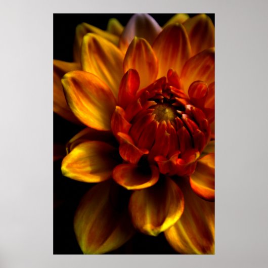 Poster Orange Bloom (Devant)