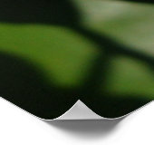 Poster Orange Blossom (Coin)