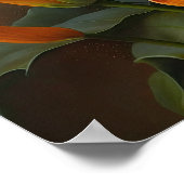 Poster Orange Calla Lilies Lily Flower Art Imprimer Poste (Coin)