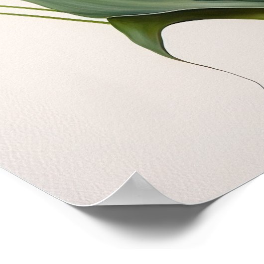 Poster Orange Calla Lilies Lily Flower Art Imprimer Poste (Coin)