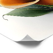 Poster Orange Calla Lilies Lily Flower Art Imprimer Poste (Coin)