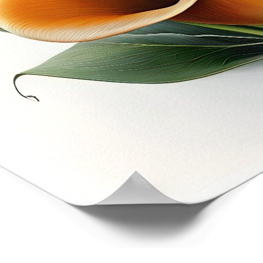 Poster Orange Calla Lilies Lily Flower Art Imprimer Poste (Coin)