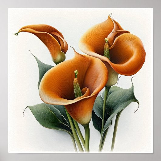 Poster Orange Calla Lilies Lily Flower Art Imprimer Poste (Devant)