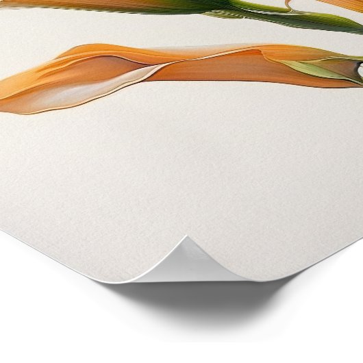 Poster Orange Calla Lilies Lily Flower Art Imprimer Poste (Coin)