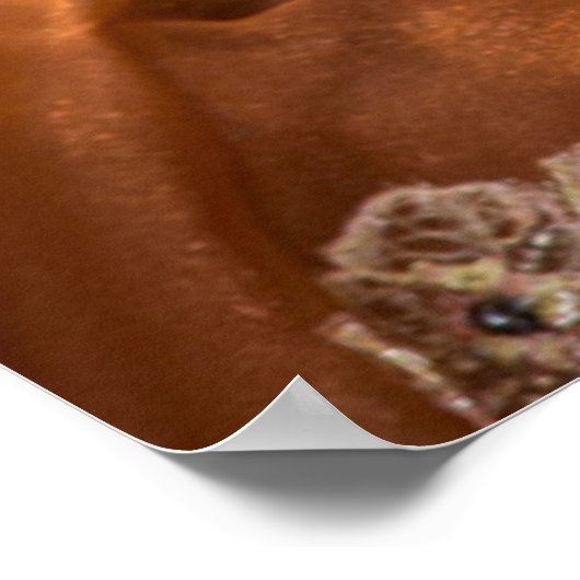 Poster Orange Carnival costume (Coin)