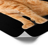 Poster Orange Chat Tab Funny Chat Parodie Amoureux des ch (Coin)
