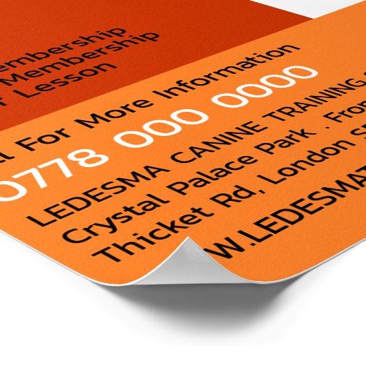 Poster Orange Chien, Trainer Chien Publicité (Coin)