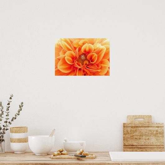 Poster Orange Dahlia et Ladybug (Cuisine)