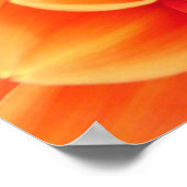 Poster Orange Dahlia et Ladybug (Coin)