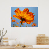 Poster Orange Daisy Flowers Floral Art Prints Daisies (Cuisine)