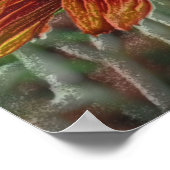 Poster Orange Daisy Pencil Art (Coin)