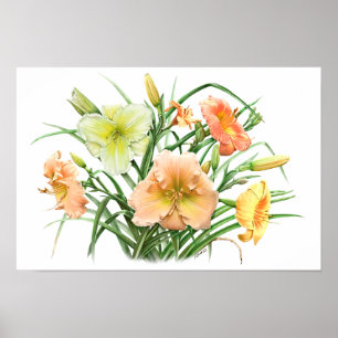 Poster Orange Daylilies Art Botanique Original Imprimer