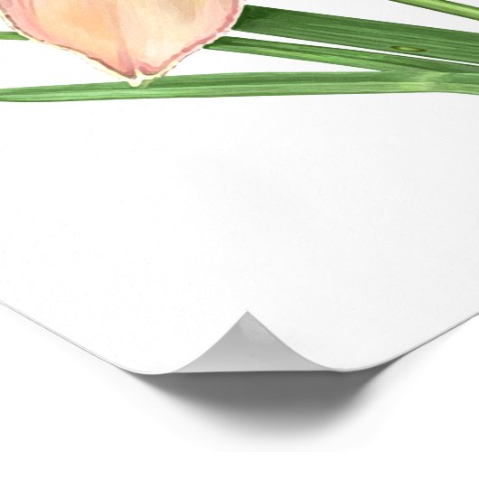 Poster Orange Daylily Original Art Print (Coin)