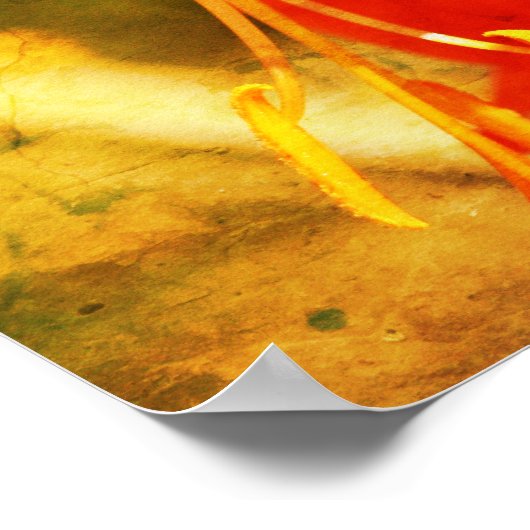 Poster Orange de feu Fleur journalière Fermer Abstrait (Coin)