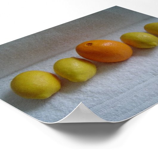 Poster Orange et citrons (Coin)