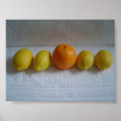 Poster Orange et citrons (Devant)