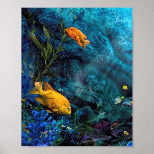 POSTER ORANGE FISH BLUE WORLD (Devant)