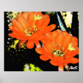 POSTER ORANGE FLEURS (Devant)