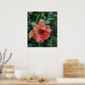 Poster Orange Flower Photo (Cuisine)