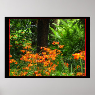 Poster Orange Flowers in Forest