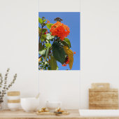 Poster Orange Geiger Tree (Cuisine)