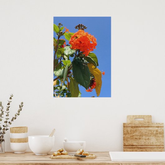 Poster Orange Geiger Tree (Cuisine)