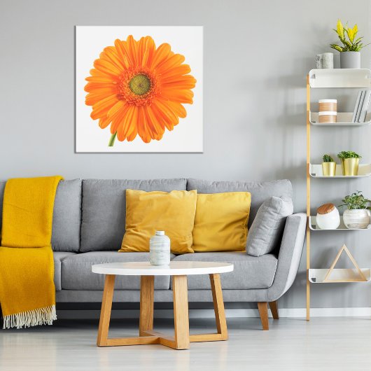 Poster Orange Gerbera Daisy fleur sur blanc