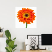 Poster Orange Gerbera Daisy Flower (Bureau à domicile)