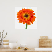 Poster Orange Gerbera Daisy Flower (Cuisine)