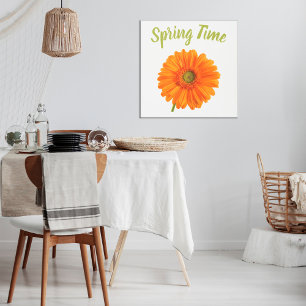 Poster Orange Gerbera spring time flower on white photo