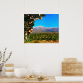 Poster Orange Groves Neige Carrée Mont Baldy Début 1900 (Cuisine)