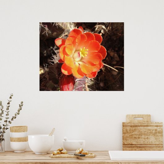 Poster orange Hérisson Cactus (Cuisine)