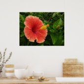 Poster Orange Hibiscus Fleur Tropical Floral (Cuisine)