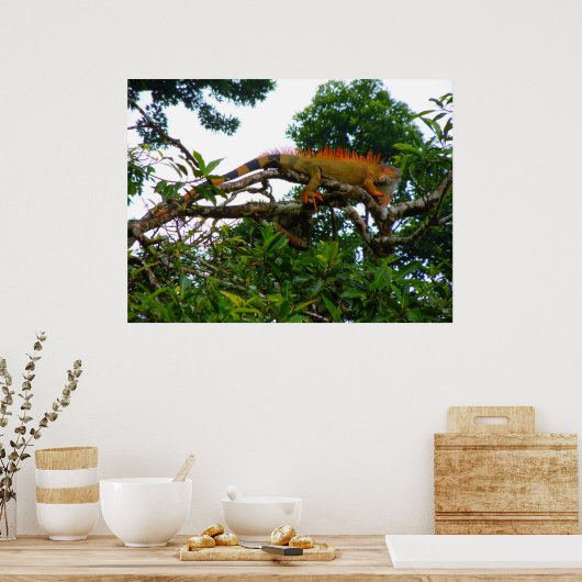 Poster Orange Iguana (Cuisine)
